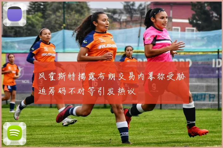 风霍斯特揭露布朗交易内幕称受胁迫筹码不对等引发热议